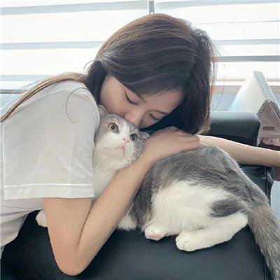 安妮·法兰克的最后七个月